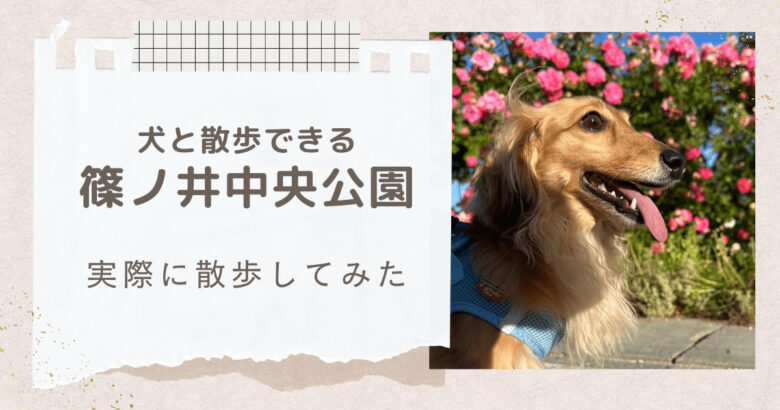 長野市で犬の散歩ができる篠ノ井中央公園はどんな公園？実際に散歩してみた