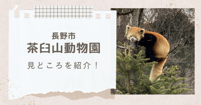 長野市茶臼山動物園の見どころを紹介！リアルな動物たちとふれあえる動物園