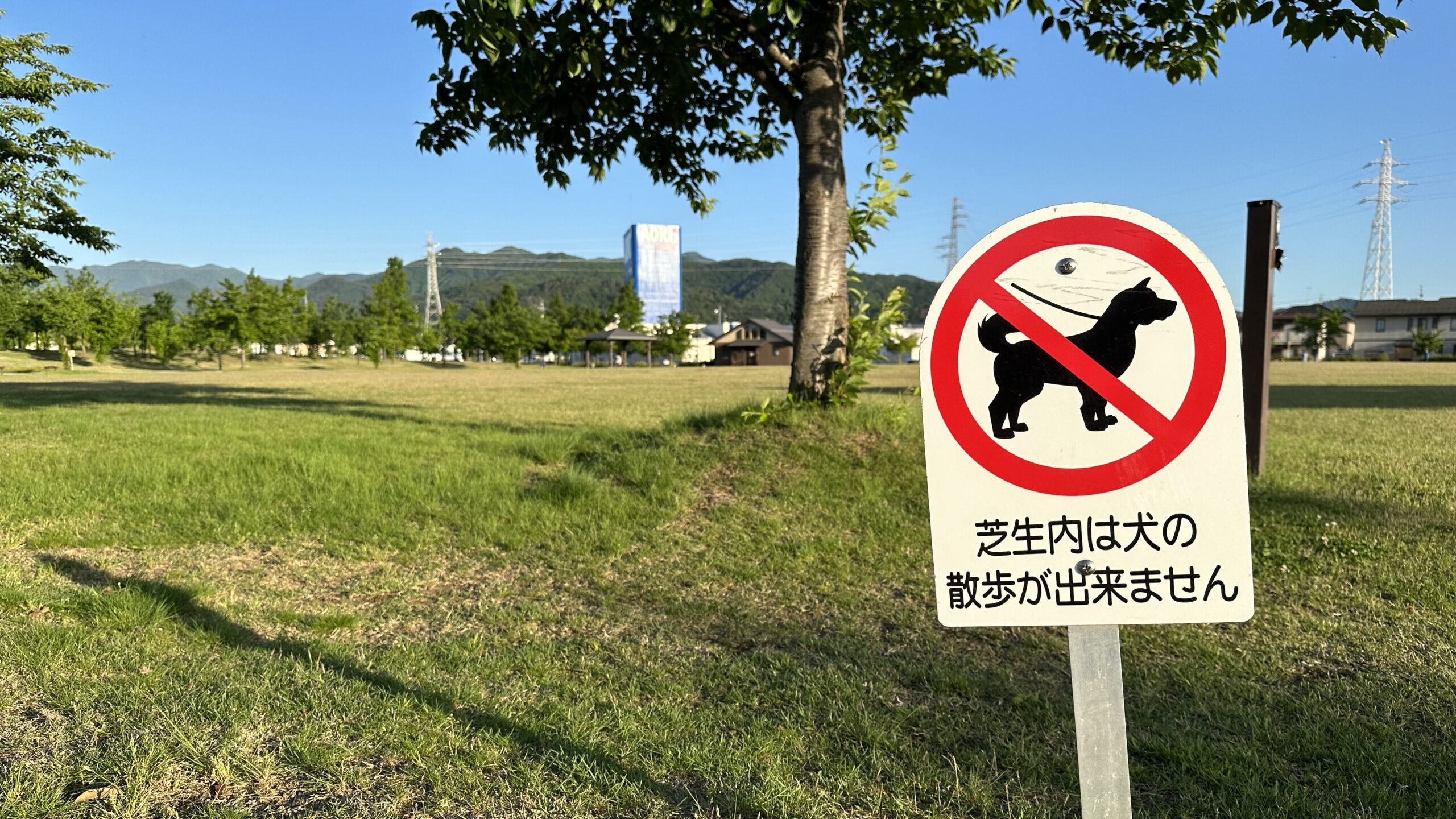 犬禁止エリア看板