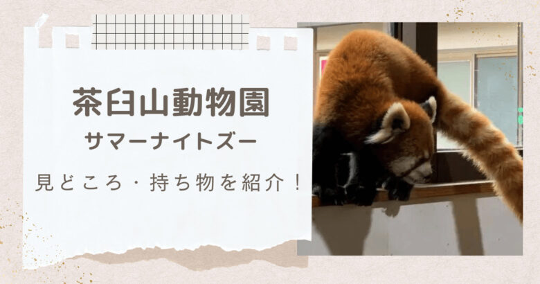 茶臼山動物園ナイトズー2023は夜の動物園を楽しめる！見どころと持っていった方がいいものを紹介