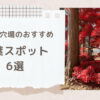 長野の紅葉スポットに穴場はある？おすすめの定番と穴場を紹介