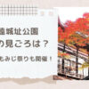 高遠城址公園の紅葉2023年の見ごろはいつ？もみじ祭りや駐車場についても！