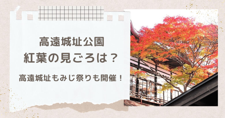 高遠城址公園の紅葉2023年の見ごろはいつ？もみじ祭りや駐車場についても！