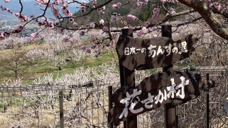 花さか村（横嶋物産）