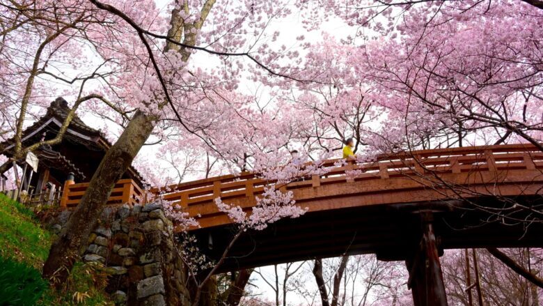 桜雲橋