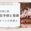 須坂市臥竜公園桜開花予想と見頃